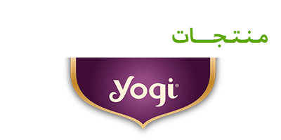 yogi