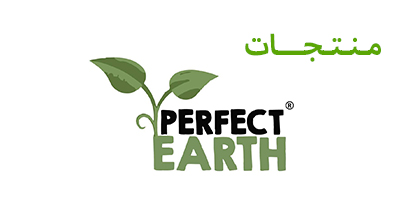 PERFECT EARTH