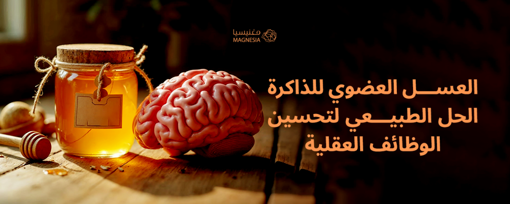 العسل العضوي للذاكرة الحل الطبيعي لتحسين الوظائف العقلية