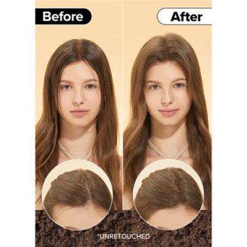 شامبو جاف لون بني