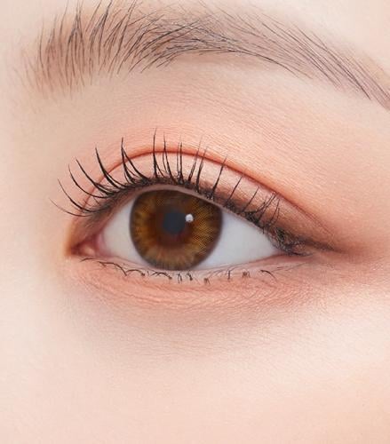 عدسات بني كورية