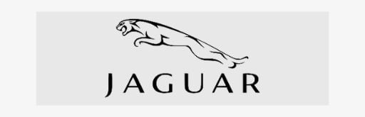 J A G U A R . جاكوار