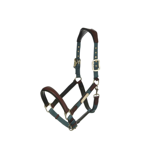 LeMieux Capella Headcollar