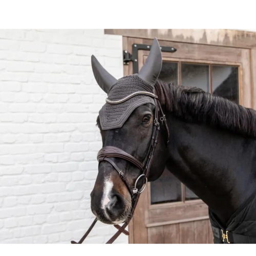 Kentucky - Galop