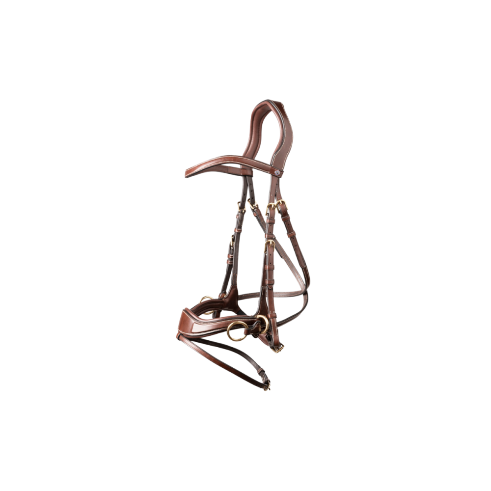 Falsterbo T-motion bridle