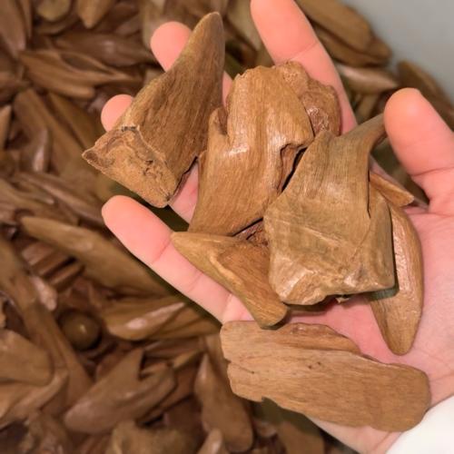 عود مروكي آصقون ( سوبر مرتفع )