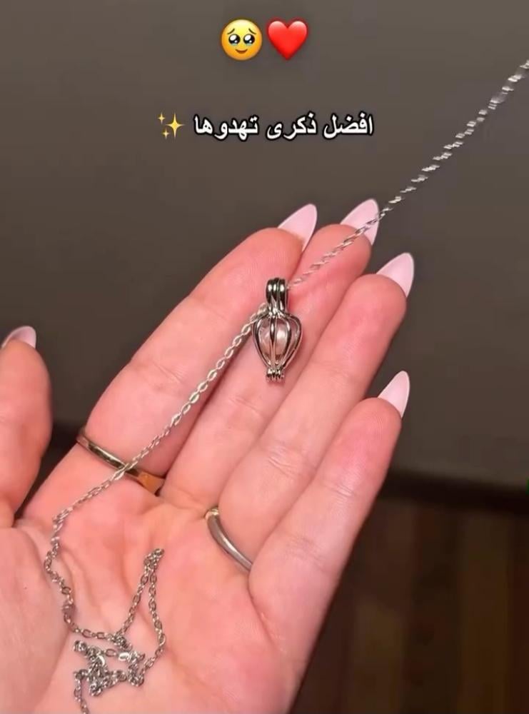 بكج المحار " الاكثر مبيعاً "