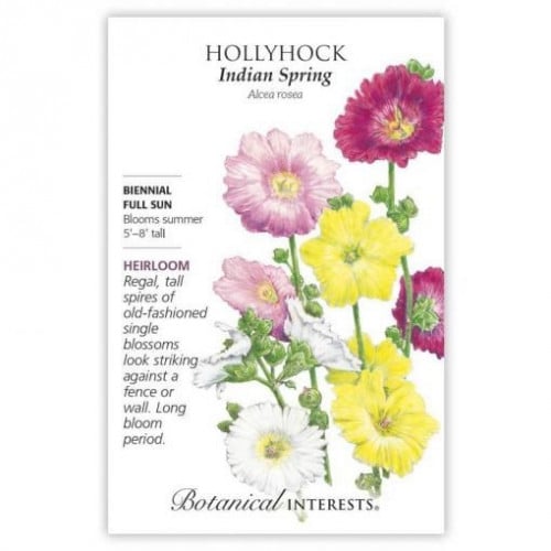 بذور خطمية الربيع الهندي - Indian Spring Hollyhock...