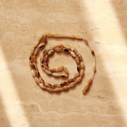 ناب جاموس