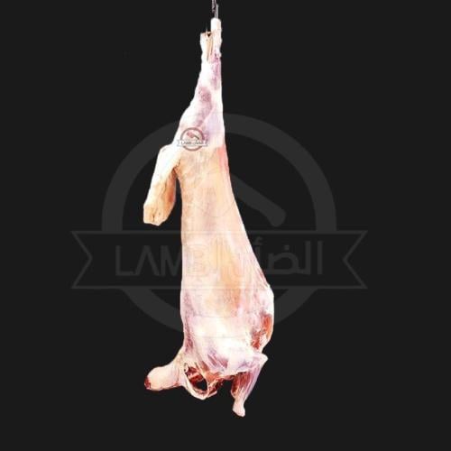 بربري لباني وسط