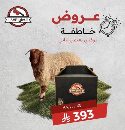 كرتون نعيمي كشميري