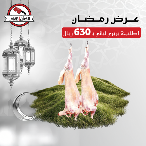 2 كرتون بربري