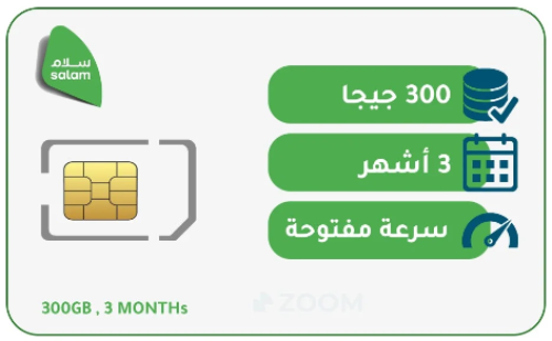 شريحة سلام300 جيجا 3 اشهر لامحدود
