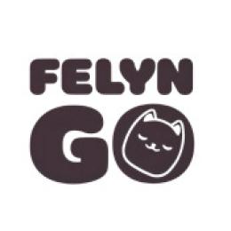 فيلاين قو - felyn go