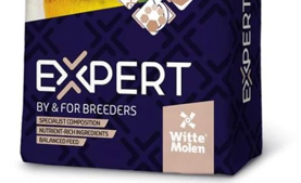 Expert -اكسبرت