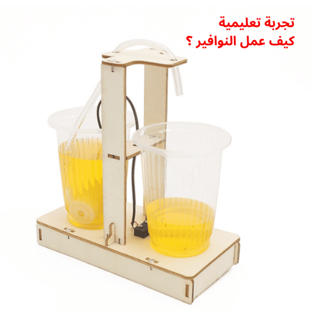 نشاط مدرسي فصلي للأطفال يشجع على المشاركة والاستكشاف والتفكير