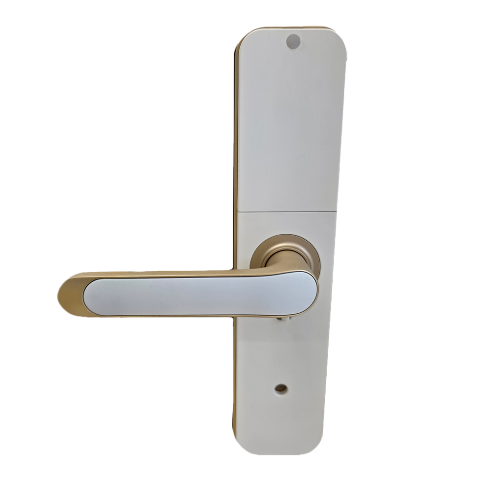 قفل باب  ذكي Go