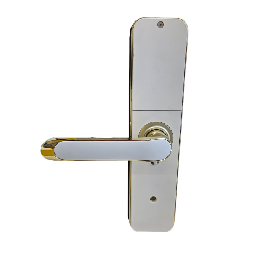 قفل باب  ذكي Go