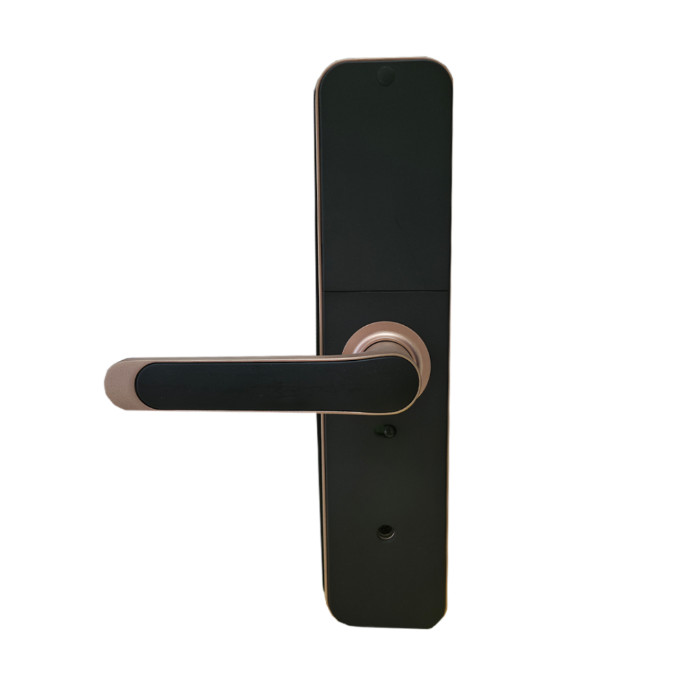 قفل باب  ذكي Go