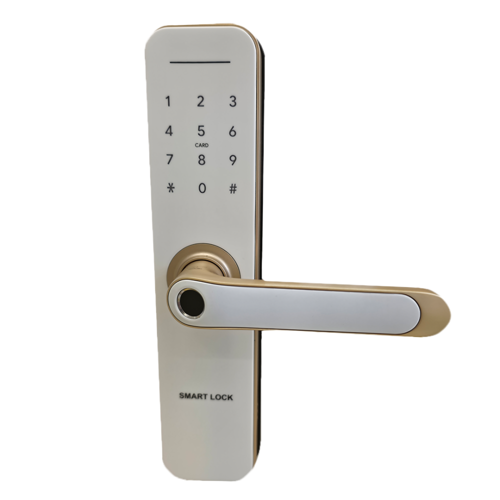 قفل باب  ذكي Go