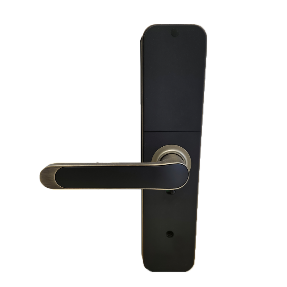 قفل باب  ذكي Go