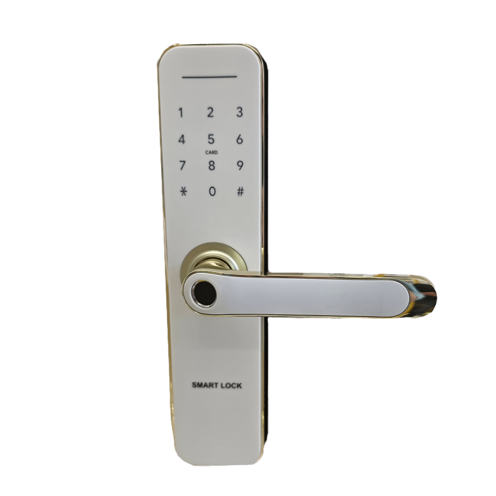 قفل باب  ذكي Go