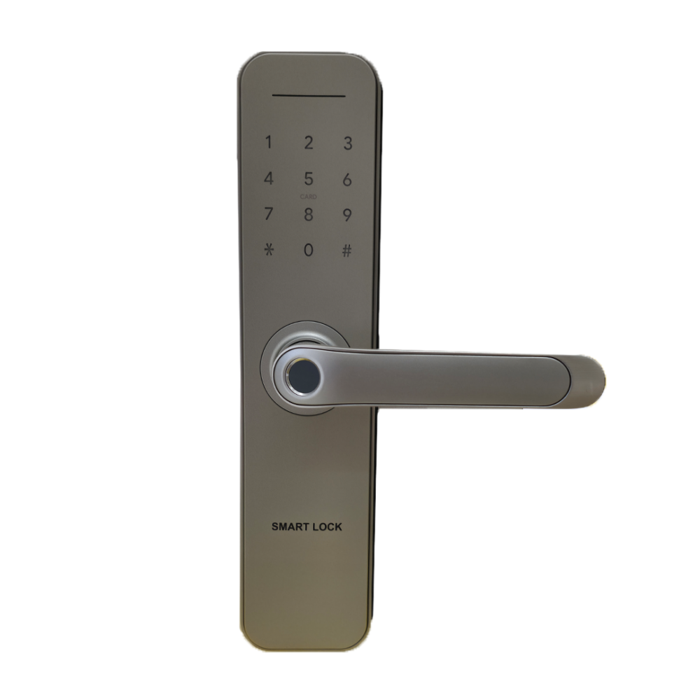 قفل باب  ذكي Go