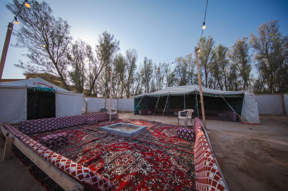 مخيم 13 بريدة