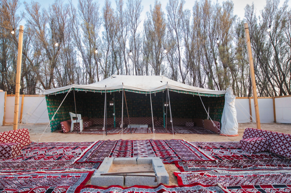 مخيم 3 بريدة