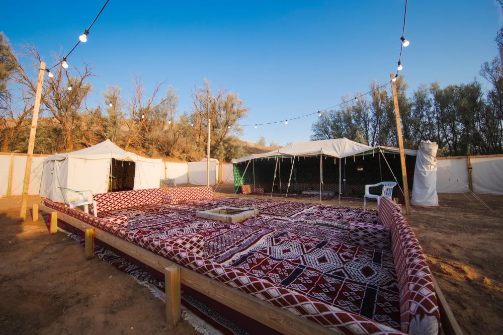 مخيم 5 بريدة