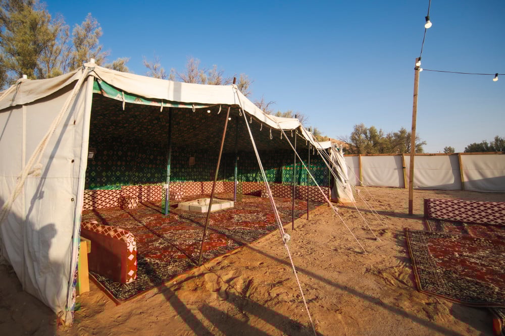 مخيم 8 بريدة