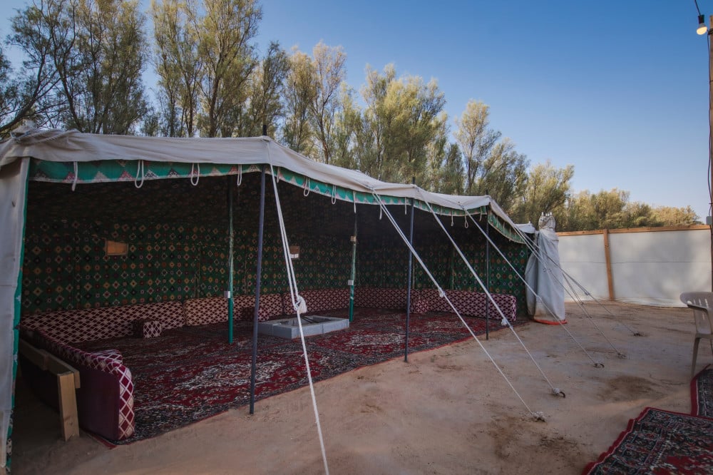 مخيم 13 بريدة