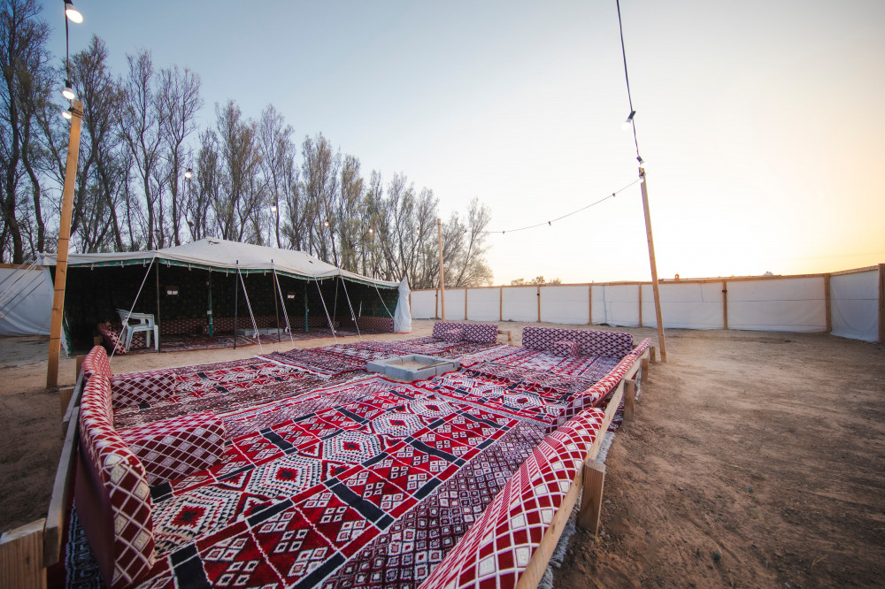 مخيم 3 بريدة