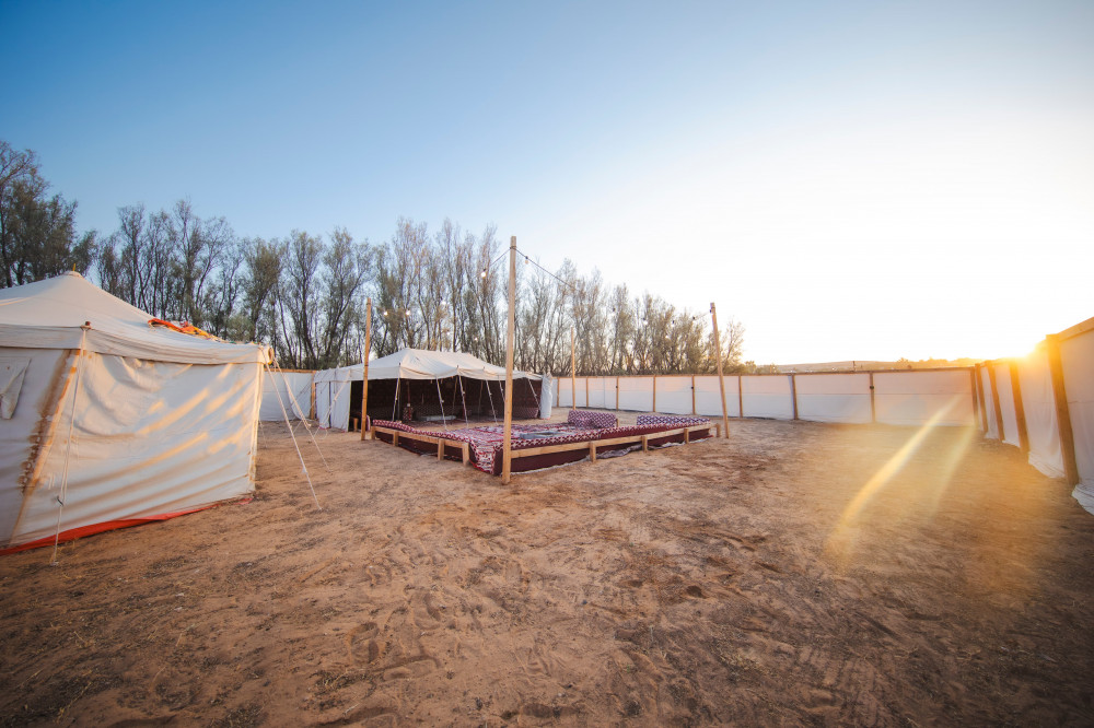 مخيم 4 بريدة