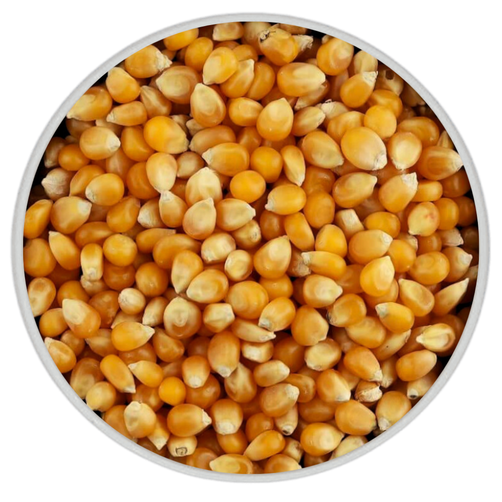 فشار
