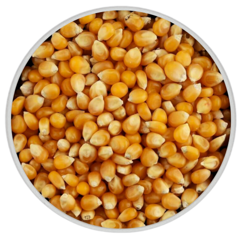 ذرة فشار 1 كيلو