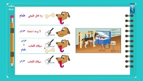 11) ماهية التعلم ج2( أساليب التعلم)