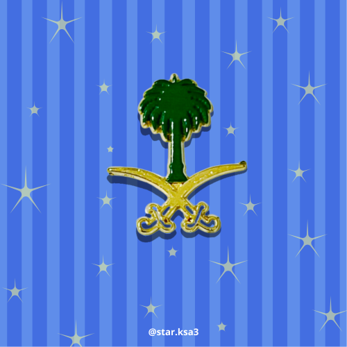 ستيكر حديد سيفين ونخلة