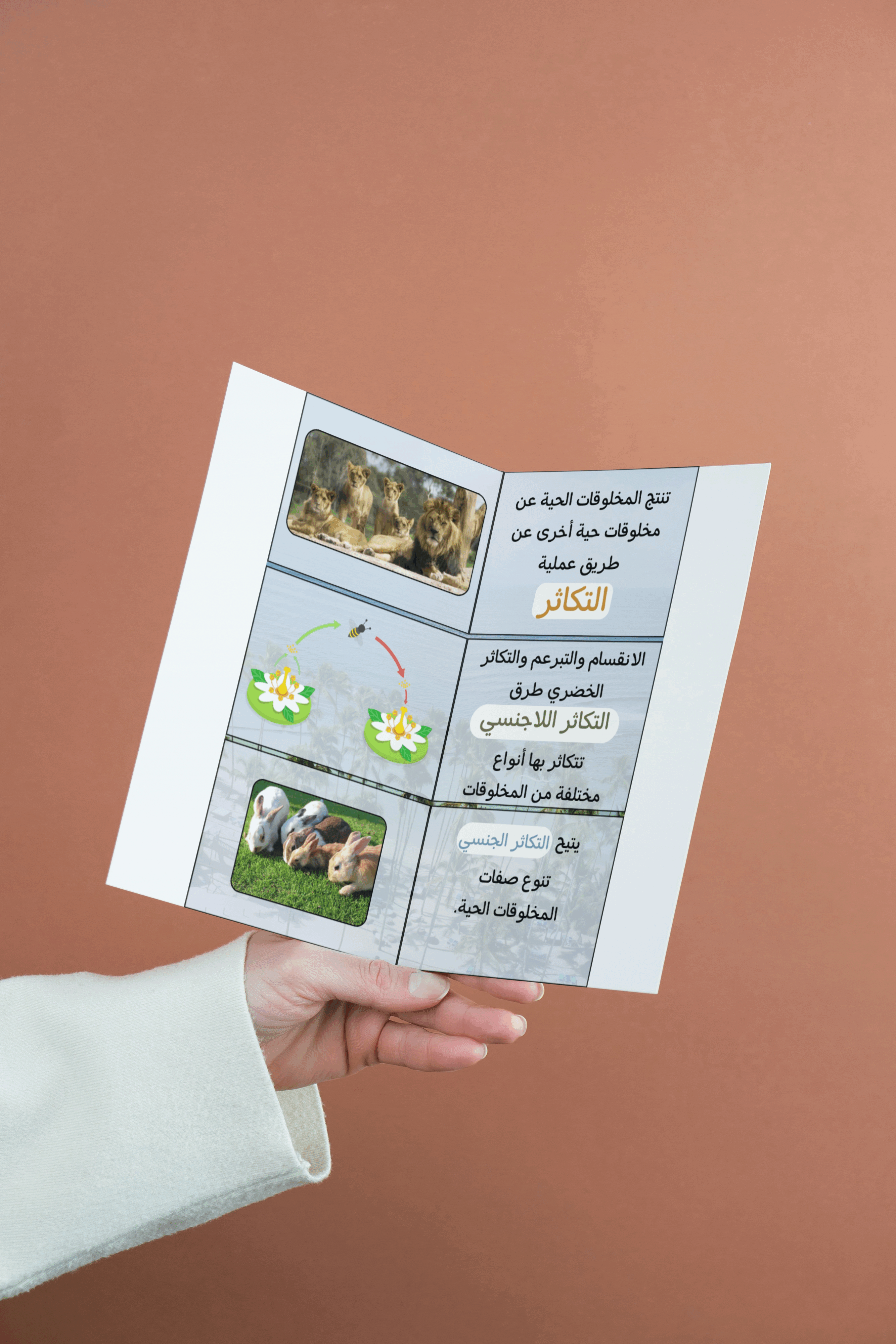 مطويه التكاثر | خامس ابتدائي | علوم