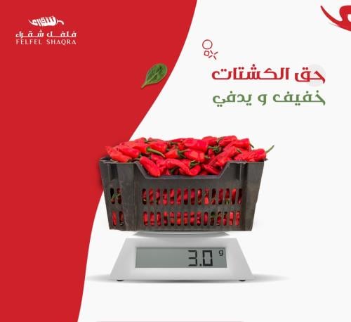 فلفل شقراء طازج صندوق وسط