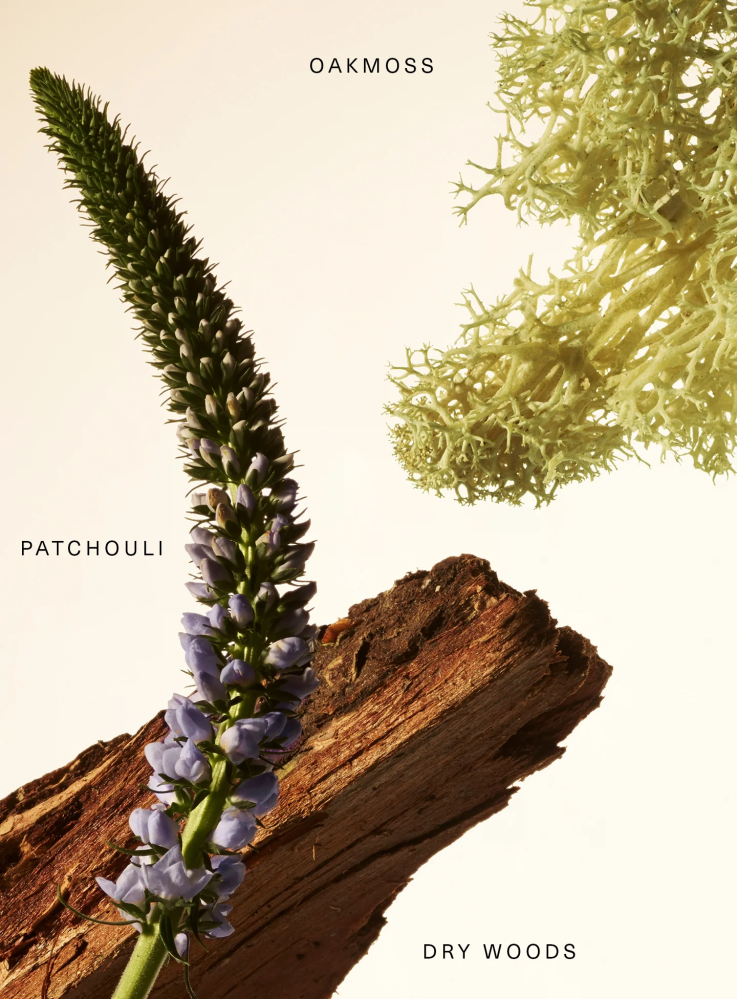 Rare beauty Fragrance Layering Balm