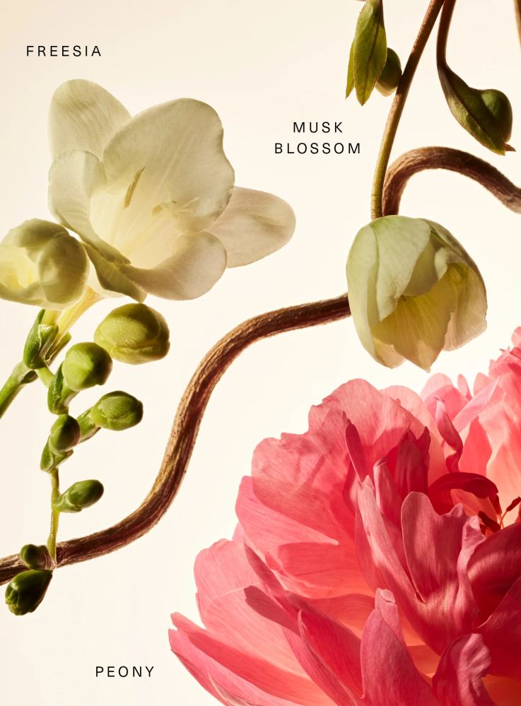 Rare beauty Fragrance Layering Balm