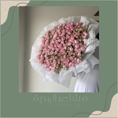 بيبي جاردن & ابيض