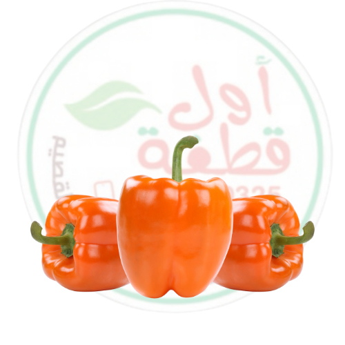 فلفل رومي برتقالي بارد طازج