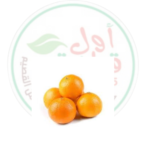 كيلو برتقال شربتلي طازج