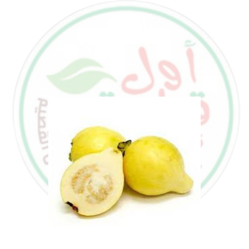 كيلو جوافة طازجه