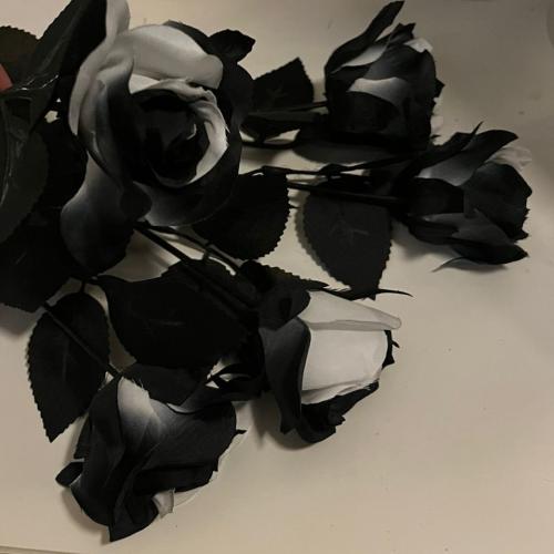 Goth Rose