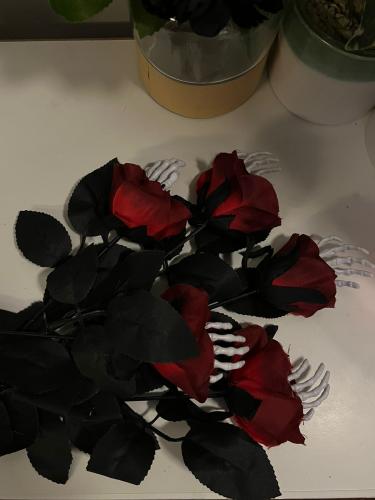 Skeleton Rose