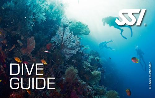 دورة مرشد غوص | Dive Guide Course
