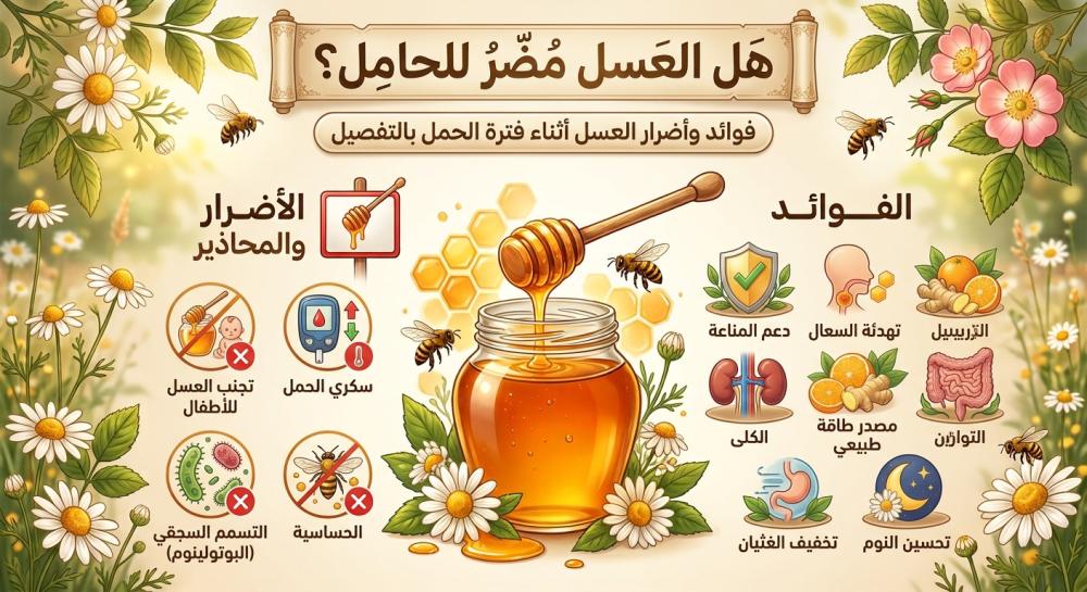 هل العسل مضر للحامل؟ فوائد وأضرار العسل أثناء فترة الحمل بالتفصيل